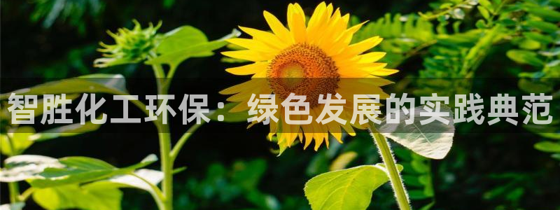 亿万先生官方网站客户端下载安装手机版:智胜化工环保:绿色发展的实践典范
