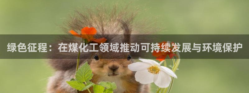 亿万先生 手机版下载安装:绿色征程:在煤化工领域推动可持续发展与环境保护